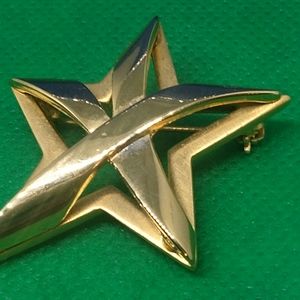 Vero star brooch